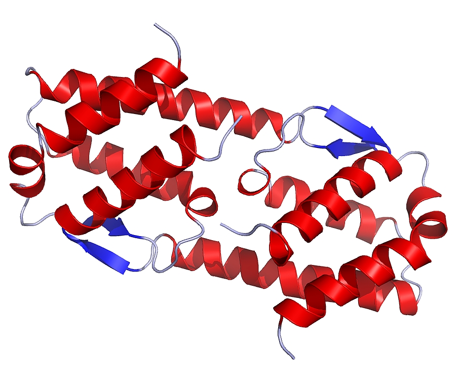 APROVADO NOVO ANTICORPO MONOCLONAL PARA O TRATAMENTO DA ASMA